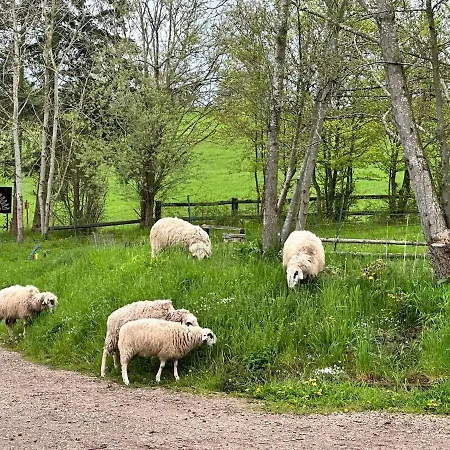 Apartmán Vivocavallino Eifel & Pferde Bad Muenstereifel