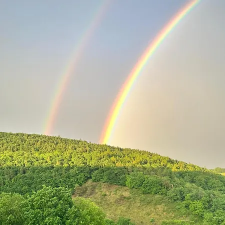 Vivocavallino Eifel & Pferde Bad Muenstereifel