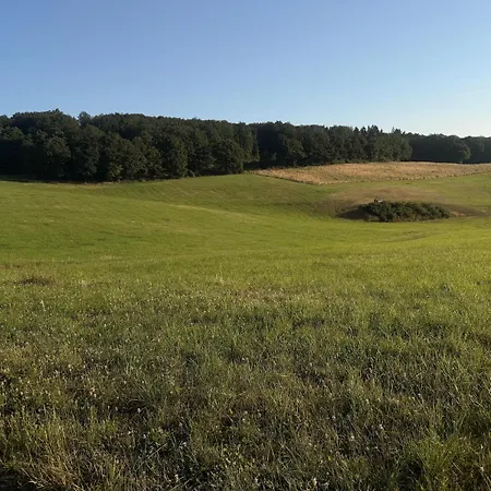 Vivocavallino Eifel & Pferde